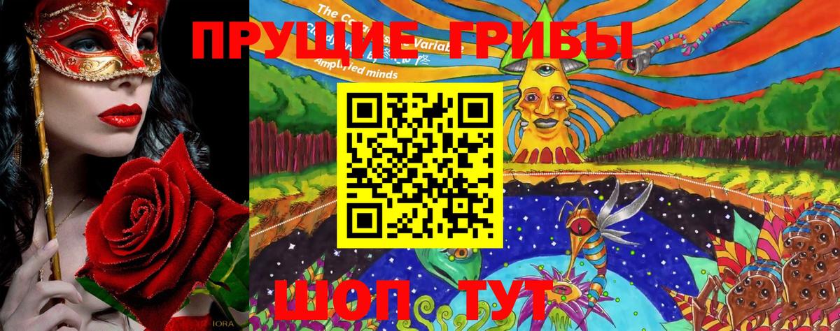 Псилоцибиновые грибы прущие грибы Ревда