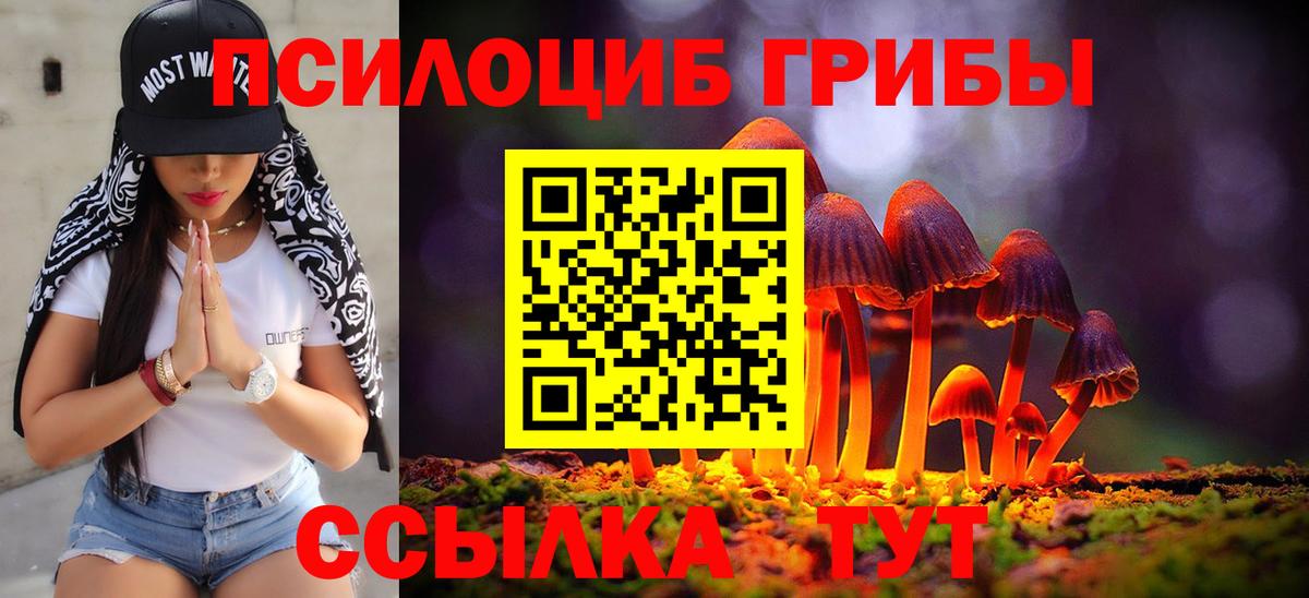Псилоцибиновые грибы мухоморы  Вход с VPN  Ревда 